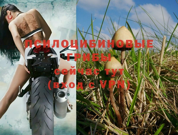 винт Белоозёрский